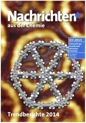 Jester image_preview.jpg