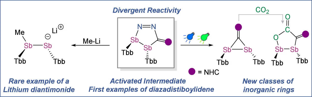  Combining Distibene, Diazoolefins, and Visible Light: Synthesis and Reactivity of Inorganic Rings.