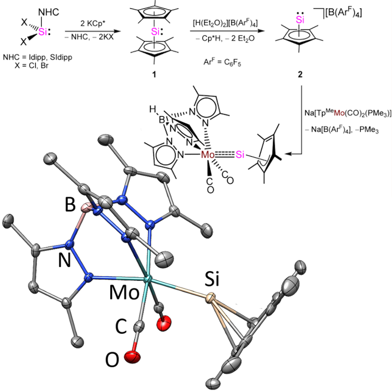 Mo-Sililydyne Complex