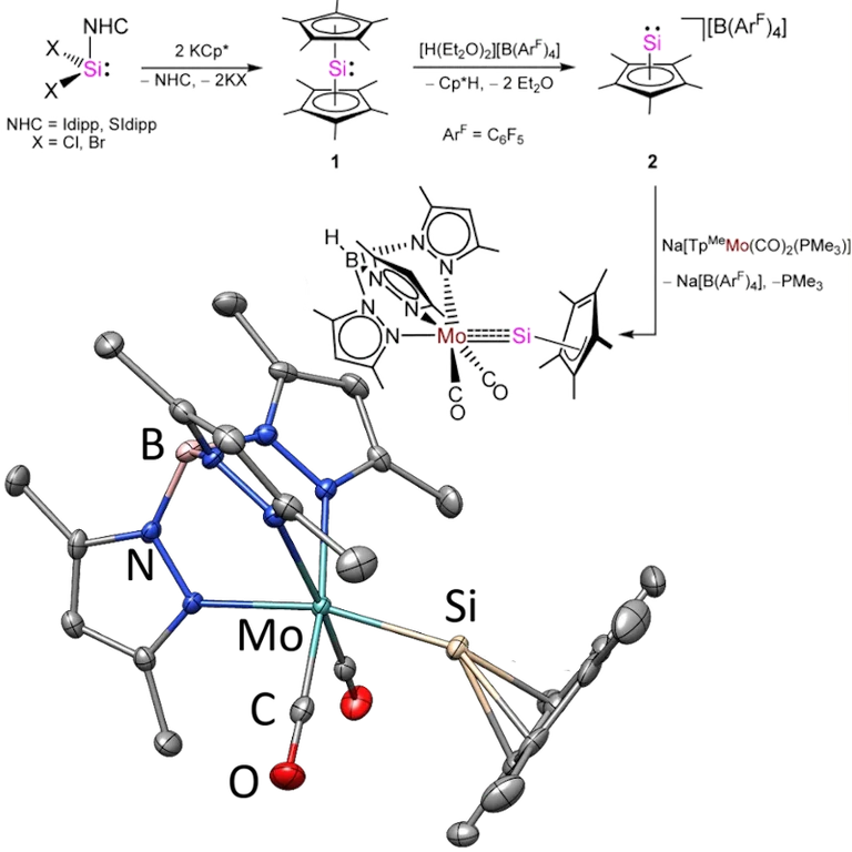 Mo-Sililydyne Complex