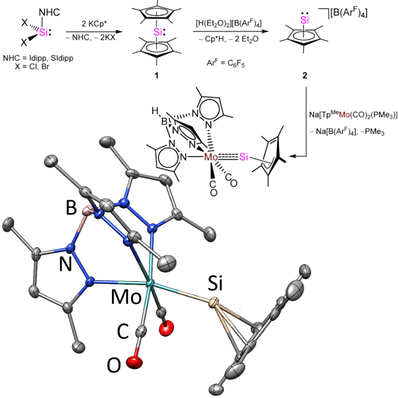 Mo-Sililydyne Complex