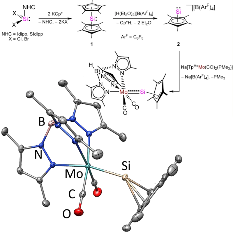 Mo-Sililydyne Complex