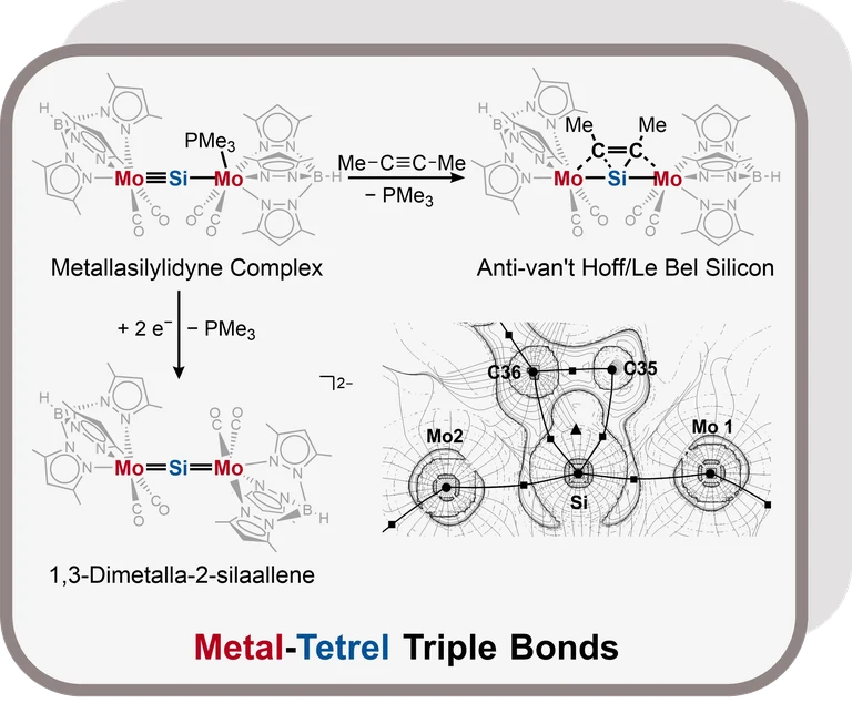 Metal-Tetrel Triple Bonds