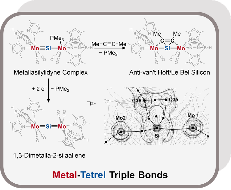 Metal-Tetrel Triple Bonds Metal-Tetrel Triple Bonds