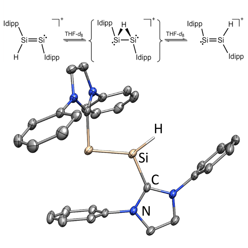 Protonated Disilicon(0)