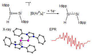 2016 - Si2H Radikal