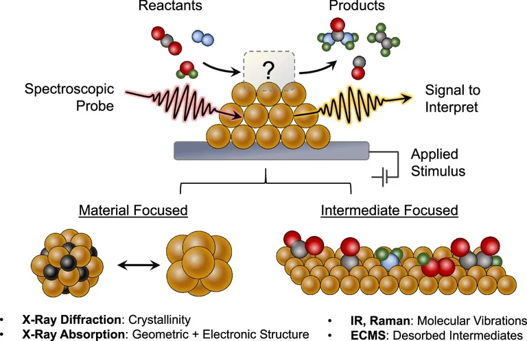Shuai Chen, Shuai Yan - pub Nature Communications
