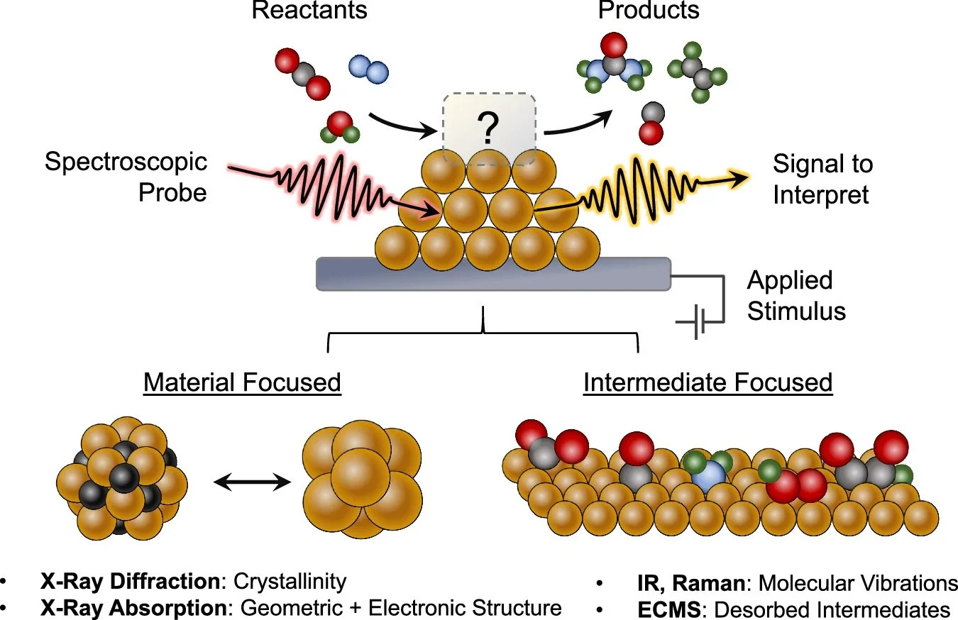 Shuai Chen, Shuai Yan - pub Nature Communications