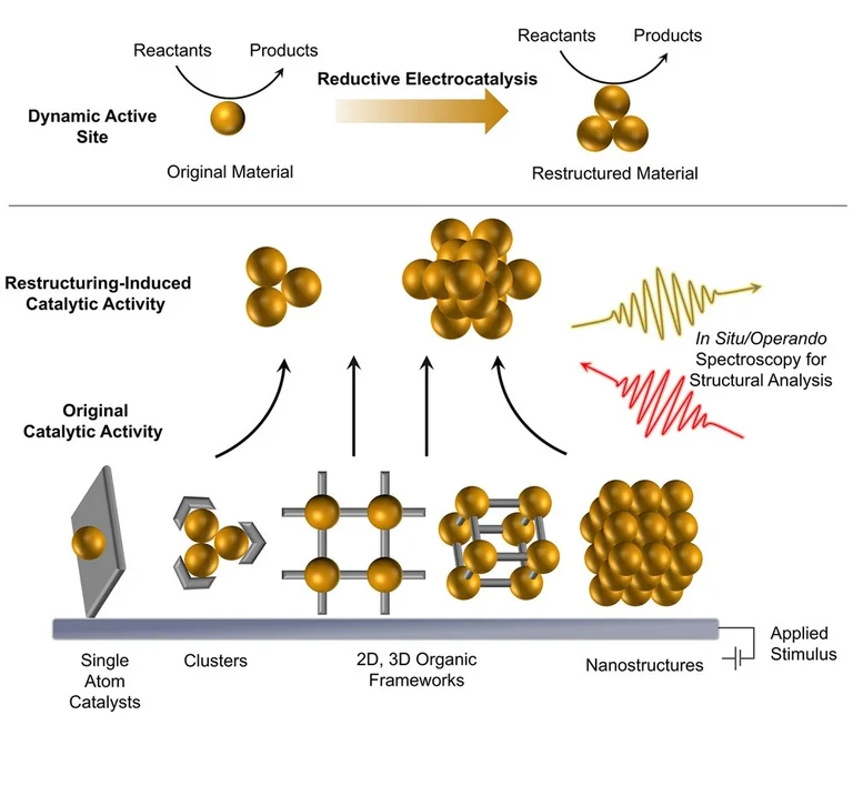 Shuai Chen, Farzaneh Farzinpour - pub Chem - March 2025