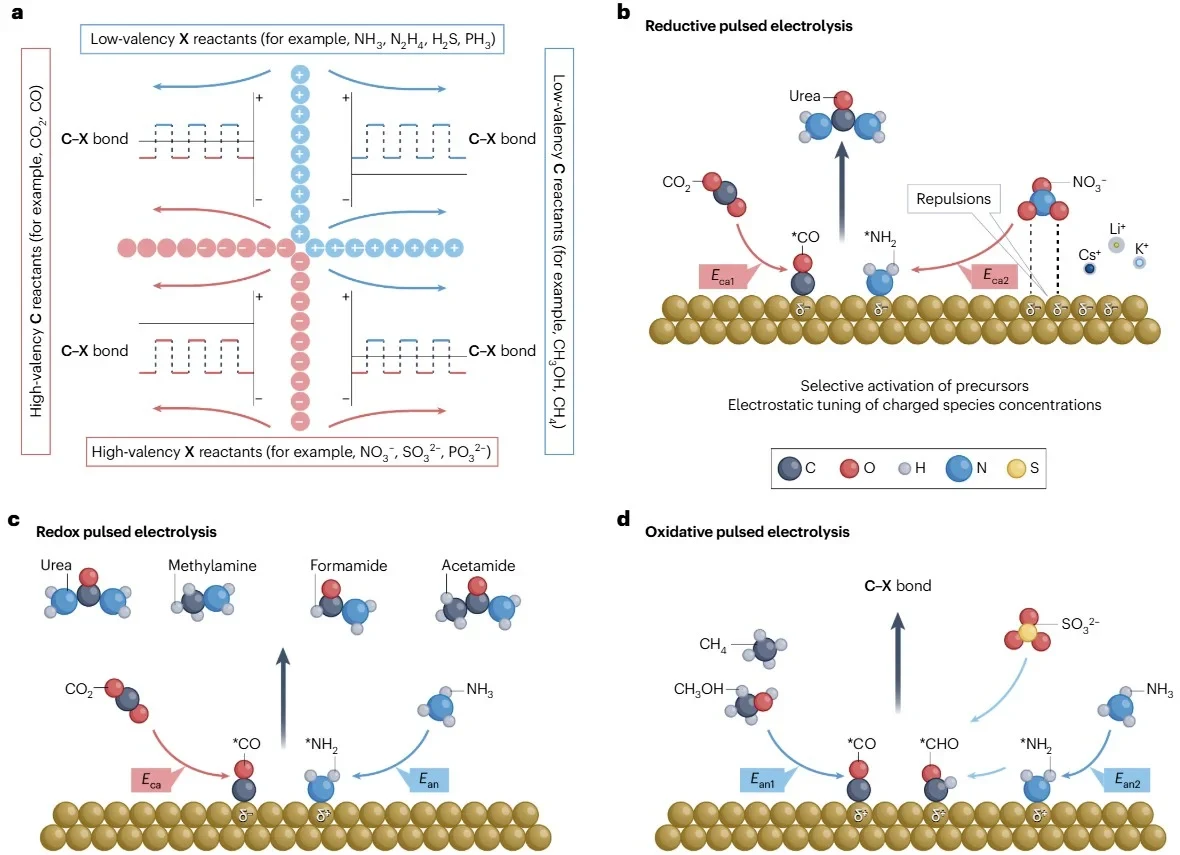 Shuai Yan, Shuai Chen, Jost Heise - Pub in nature reviews