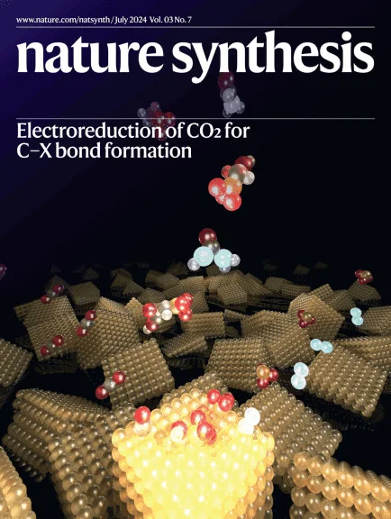 nature synthesis - vol 3, issue 7 - Jul 2024