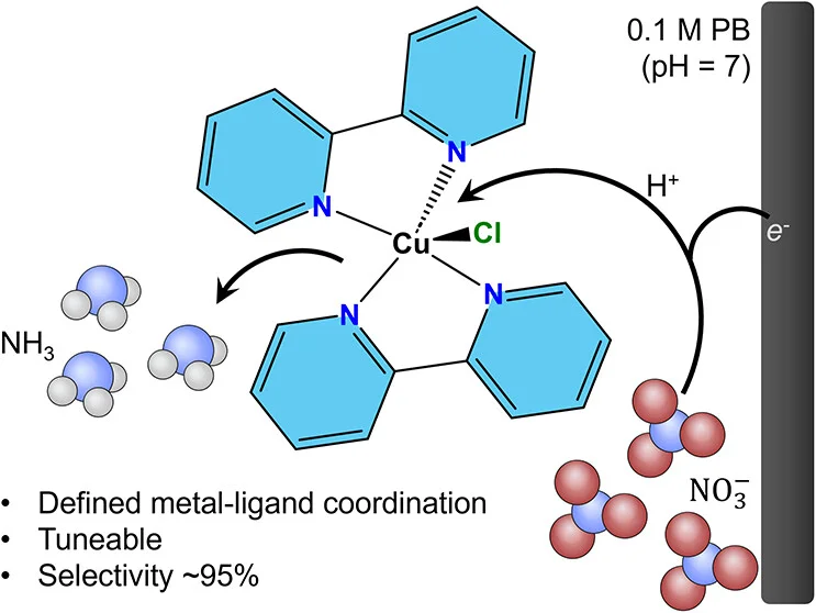 JW 2 + JK + MM 15 Inorganic Chemistry - May 2026