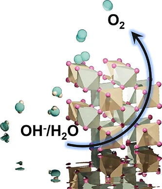 JW 3 + MM16 ACS Catalysis - Jun 2026