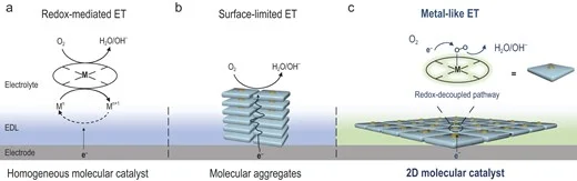 WY 6 NSR - vol 12, issue 8 - Aug 2025
