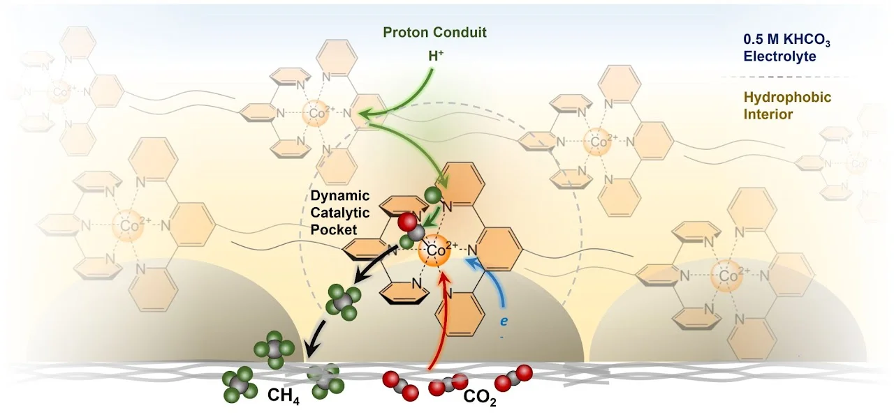 Hydrophobic molecular assembly at the gas-liquid-solid interface drives highly selective CO2 electromethanation