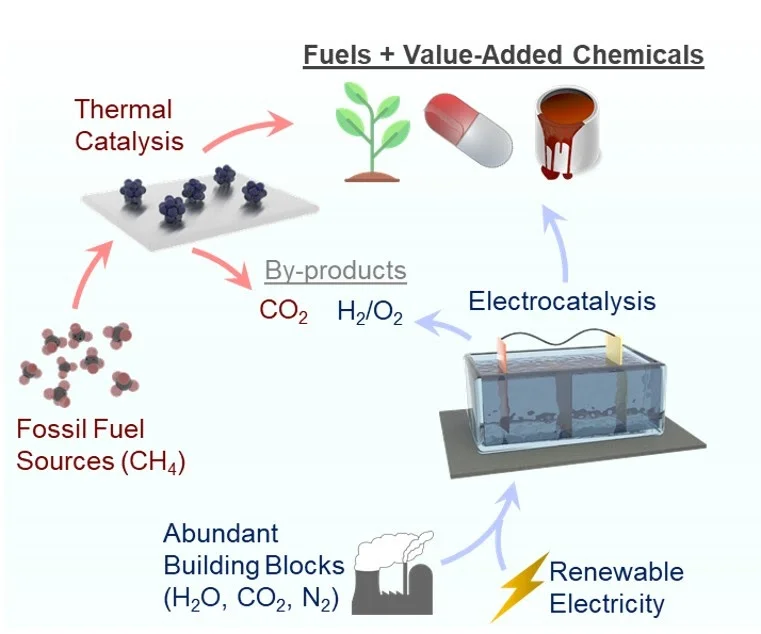 Construction of C–N bonds from small-molecule precursors through heterogeneous electrocatalysis