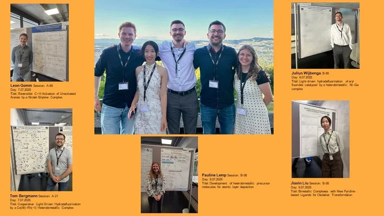 AK Lu attends EuCOMC in Bern