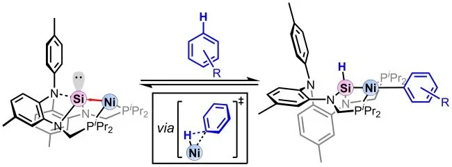 New JACS communication