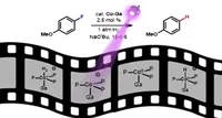 New JACS paper from AK Lu