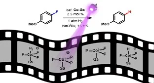 New JACS paper from AK Lu