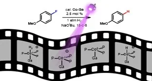 New JACS paper from AK Lu