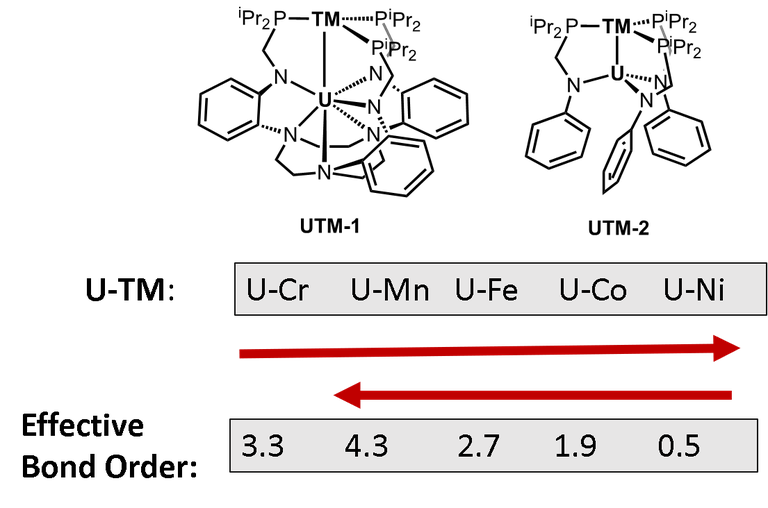 utm_toc.png