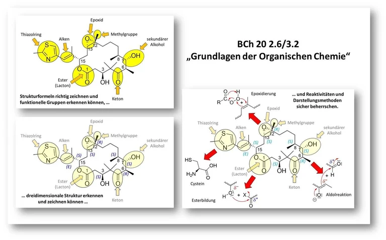 Lehre - Grundvorlesung.jpg
