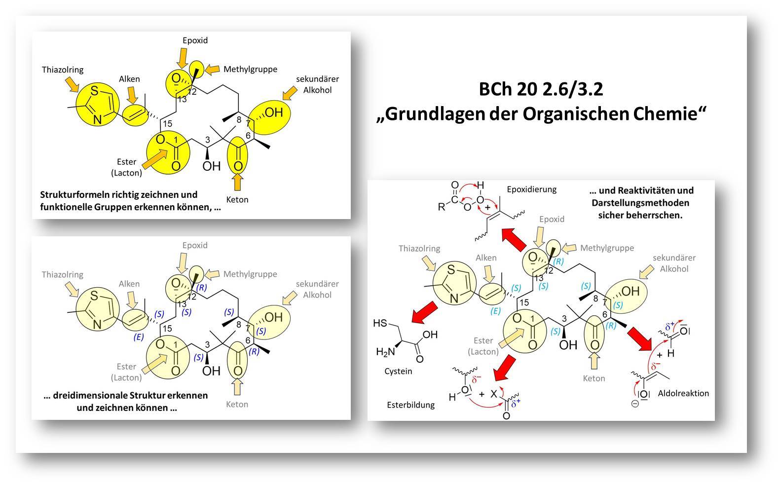 Lehre - Grundvorlesung.jpg