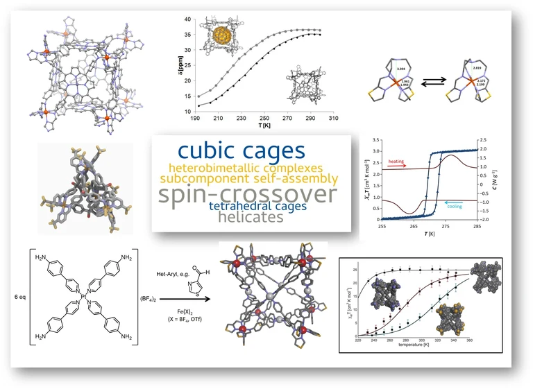 Research - metallosupramolecularassemblies 2.jpg