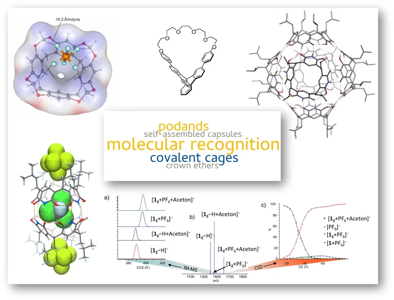 Research -receptors.jpg