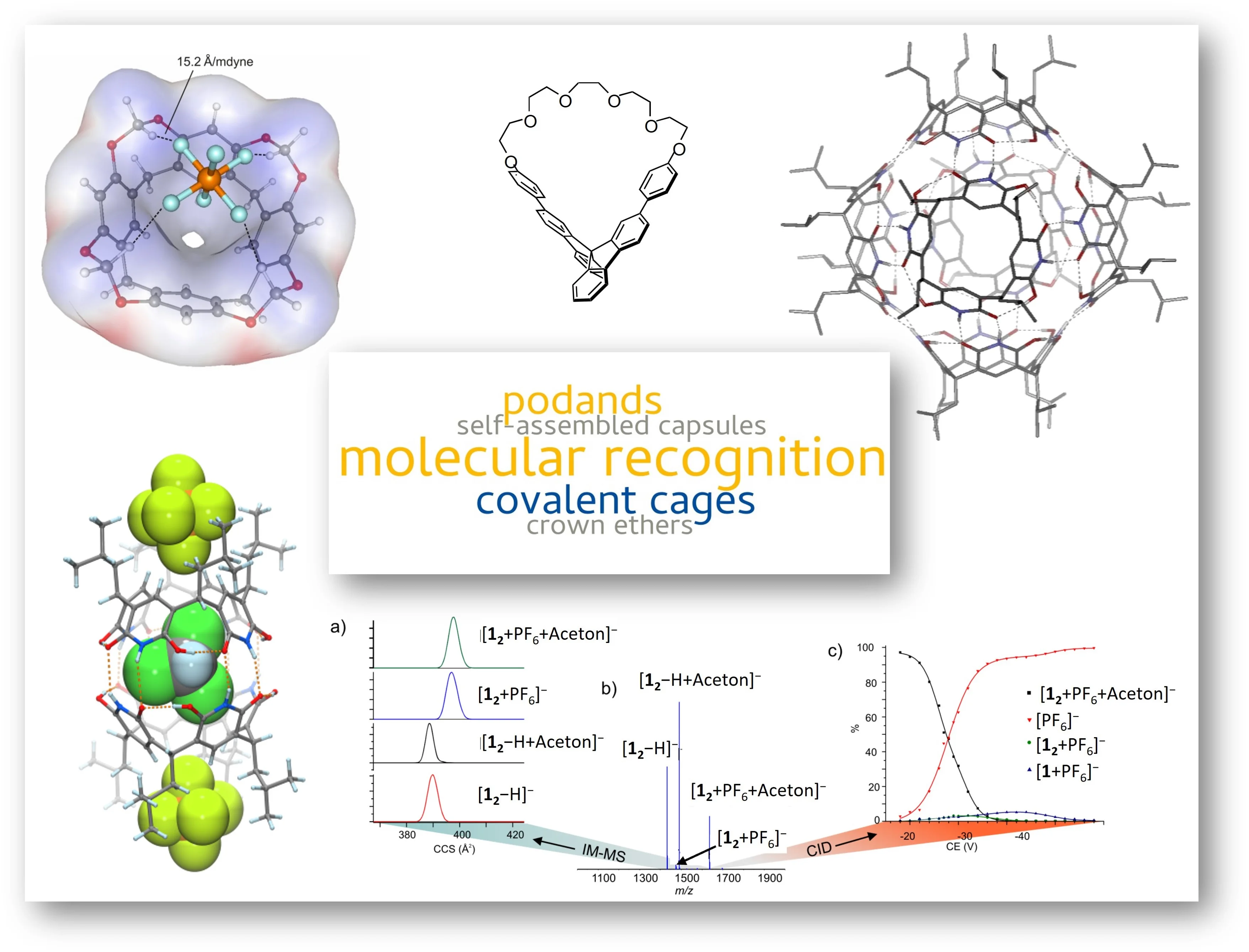 Research -receptors.jpg