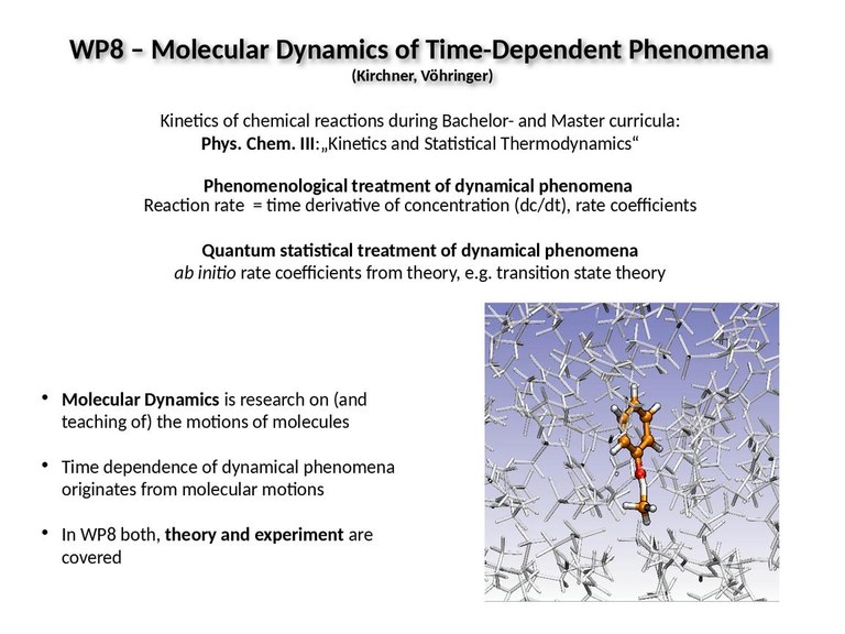 Präsentation-WP-Modul-Master-2025.pdf