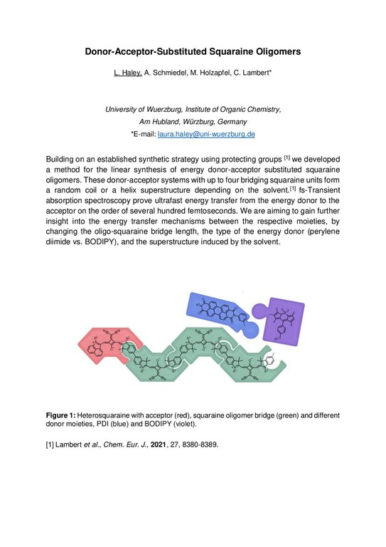 Haley_Poster_Abstract KOPO2024.pdf