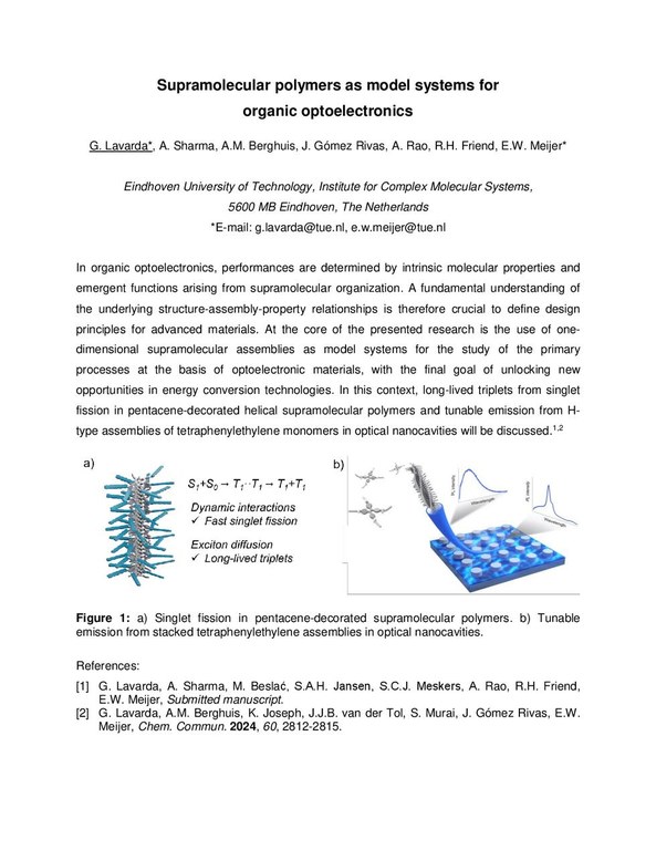 Lavarda Abstract_KOPO2024_Lavarda.pdf