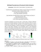 Müller Abstract_Müller_Michael_KOPO 2024.pdf