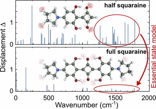 Charge Delocalization and Vibronic Couplings in Quadrupolar Squaraine Dyes