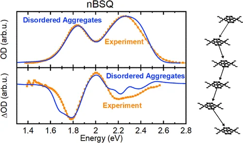 Structural Disorder as the Origin of Optical Properties and Spectral Dynamics in Squaraine Nano-Aggregates