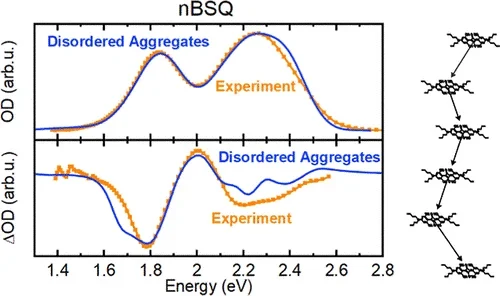 Structural Disorder as the Origin of Optical Properties and Spectral Dynamics in Squaraine Nano-Aggregates